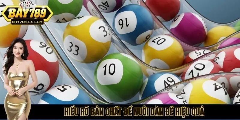 Hiểu rõ bản chất để nuôi dàn đề hiệu quả